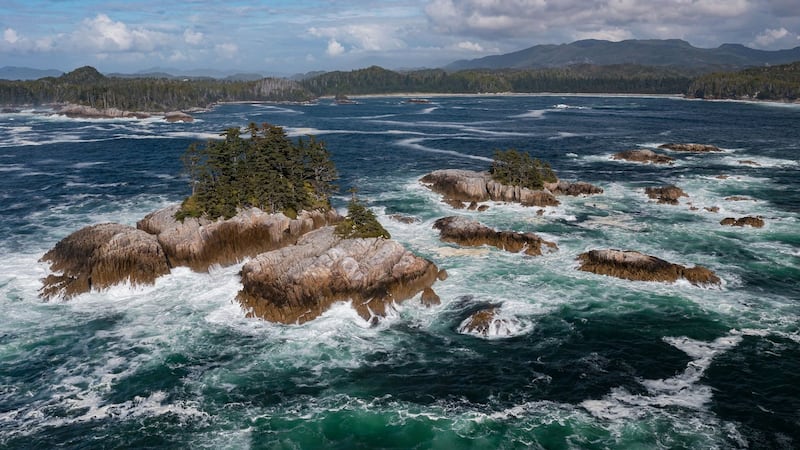 Vast marine conservation reserve, bigger than P.E.I., to protect B.C. central coast