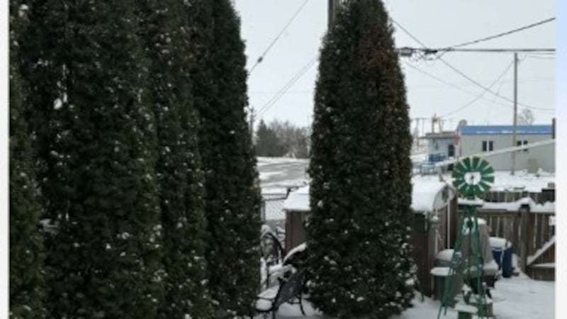 Warm weather expected all week in Calgary