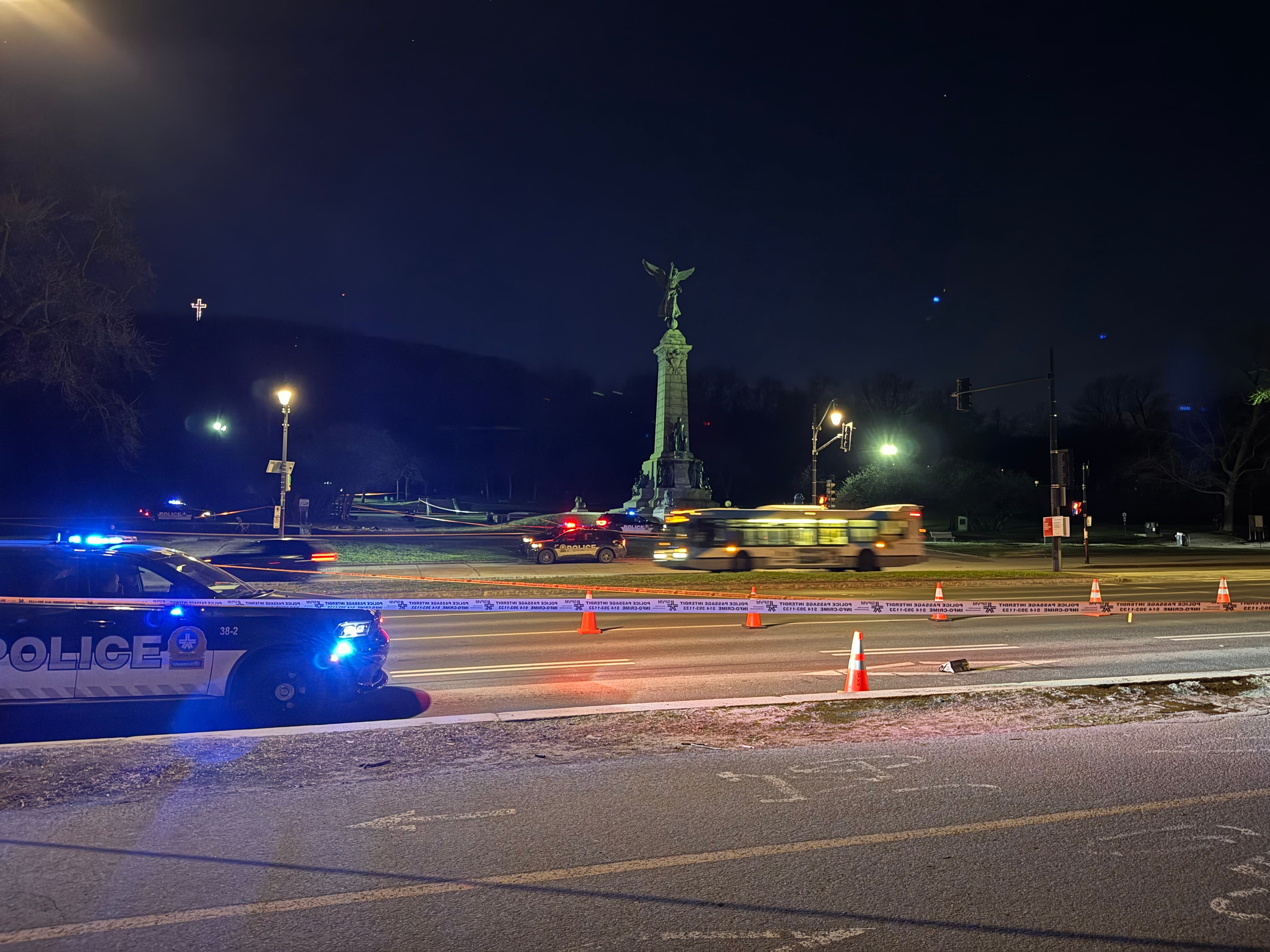 Man dies after being stabbed during fight near Mount Royal