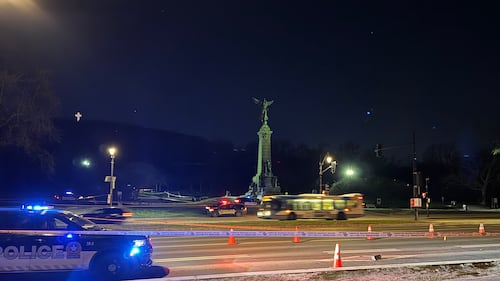 Man dies after being stabbed during fight near Mount Royal