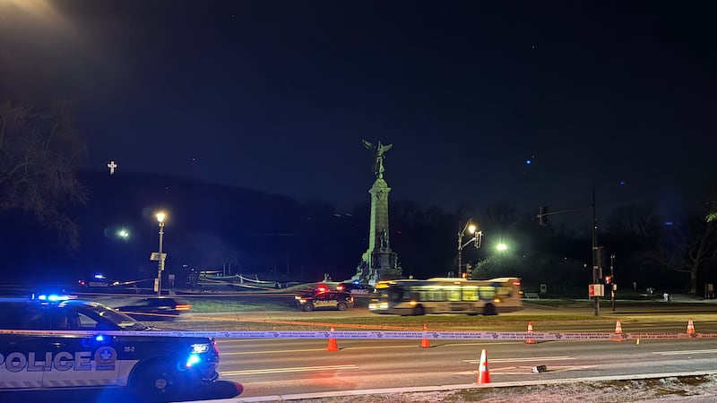 Man dies after being stabbed during fight near Mount Royal