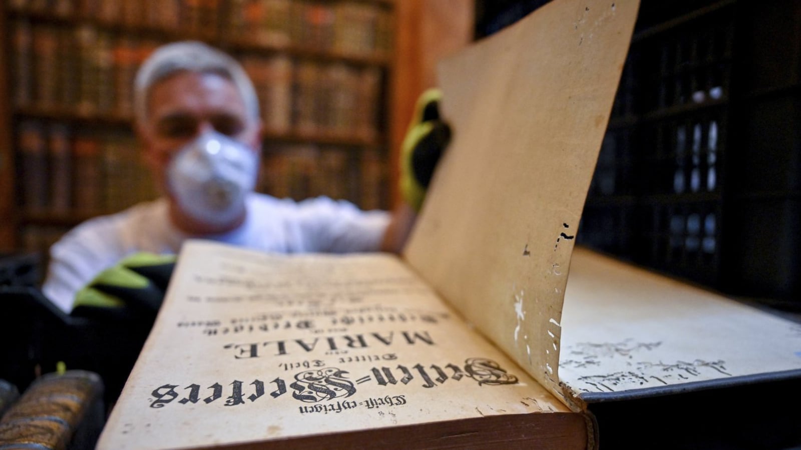 Hungary library faces beetle infestation, 100,000 books at risk