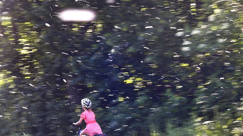 Why experts say seasonal allergies are getting worse
