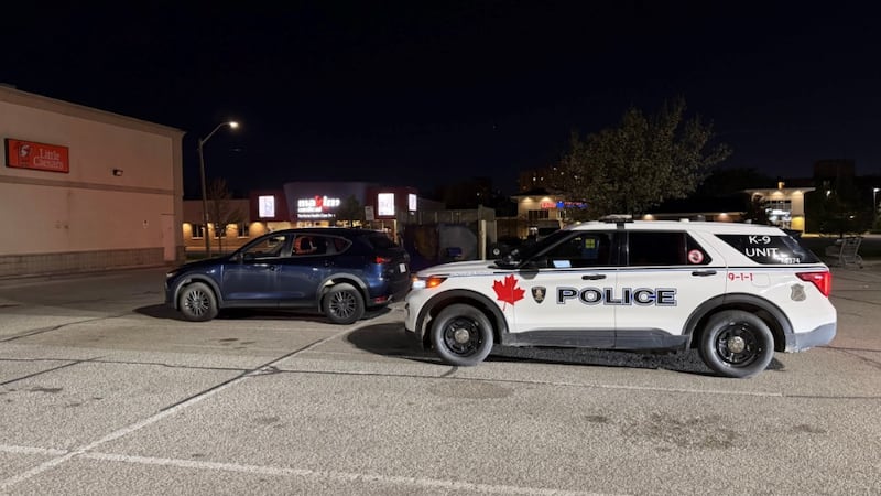 Windsor teenager dead after stabbing; homicide investigation underway