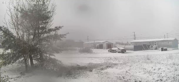 Snow is pictured on the ground on May 29, 2026 in Sydney, N.S. (Courtesy: Earl McKay)