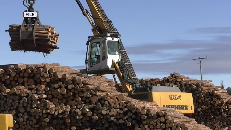 Northern Ont. sawmills idled ‘indefinitely’ because of U.S. tariffs