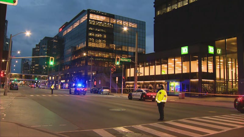 16-year-old boy killed in Hamilton mall shooting, 2 armed suspects sought