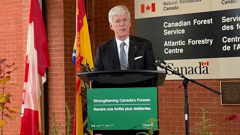 Ottawa investing $50 million in high-tech forestry centre in New Brunswick