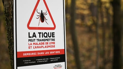 Lyme disease cases in Montreal highest in 20 years