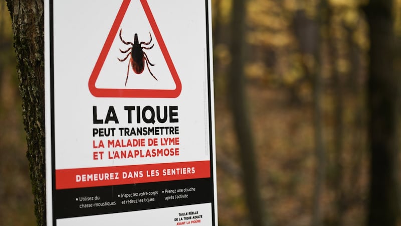 Lyme disease cases in Montreal highest in 20 years