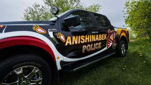 Attempted robbery and pursuit lead to charges: police