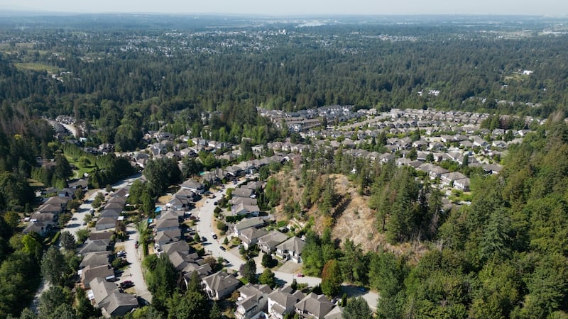 Man struck and killed ‘trying to corral dogs’ on B.C. highway