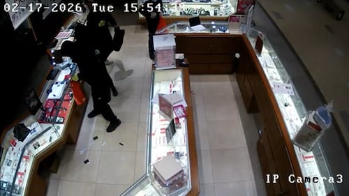 Eight suspects in custody after ‘smash-and-grab’ robberies captured on video, Halton police say