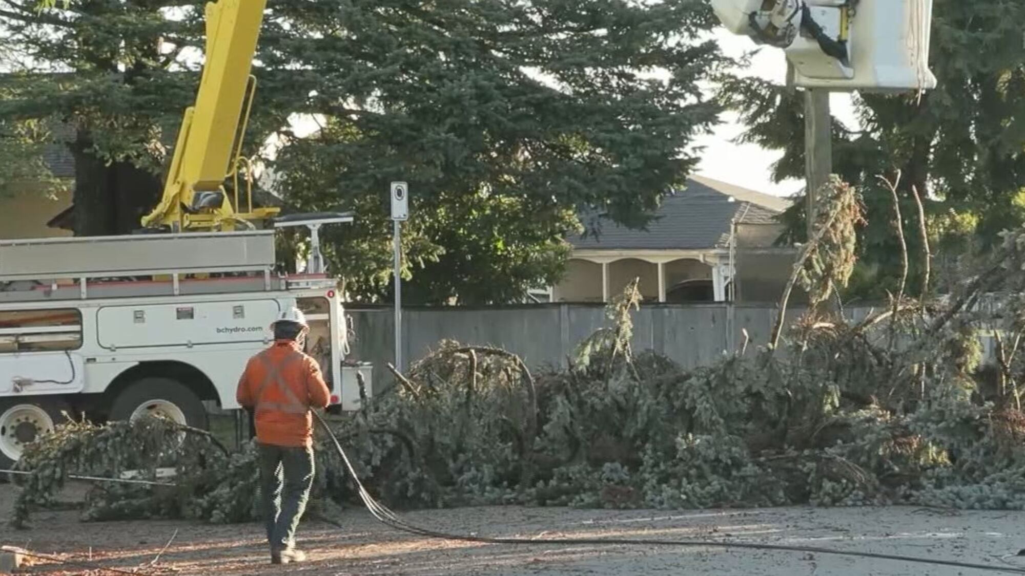 Clean up underway after B.C. windstorm – CTVNews