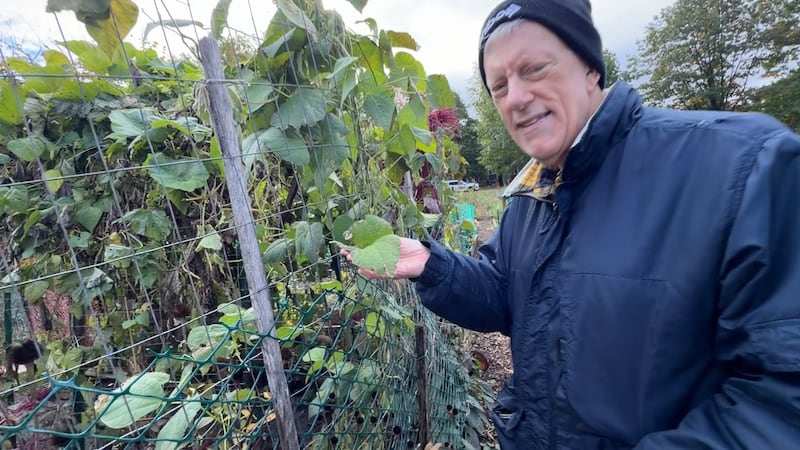 Community garden volunteers raise concerns over new City of Ottawa agreements