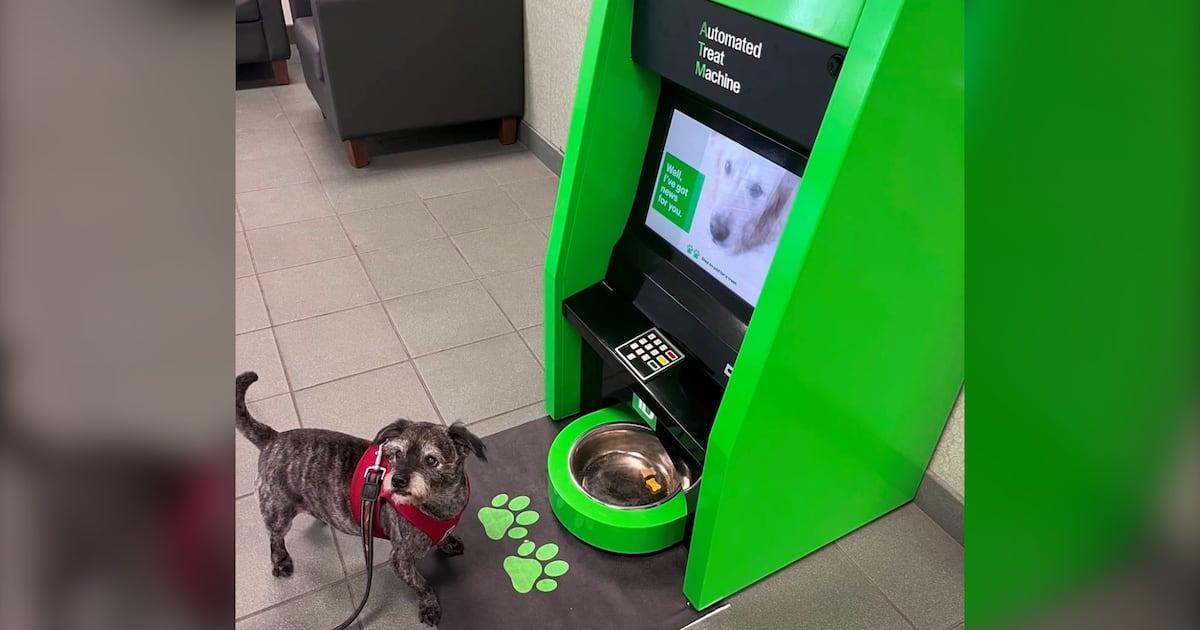 ‘No PIN required': ATM for dogs in Vancouver's West End