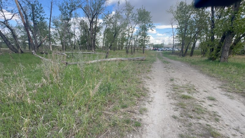 Calgary Humane Society investigates after two dogs found dead in park