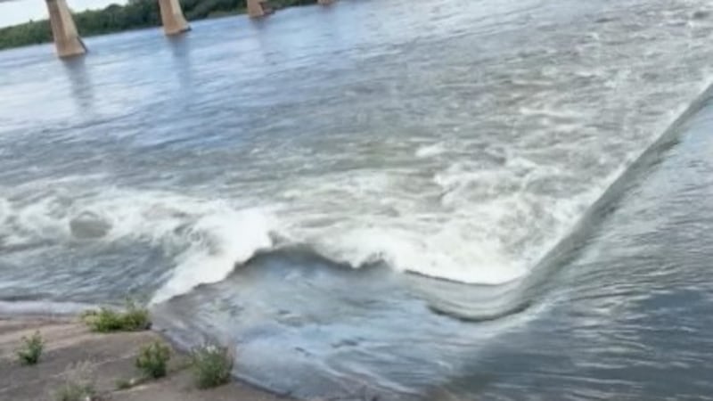South Saskatchewan River water levels prompt safety warnings, ferry closures