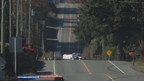 2 killed in head-on collision with a dump truck in Abbotsford: police