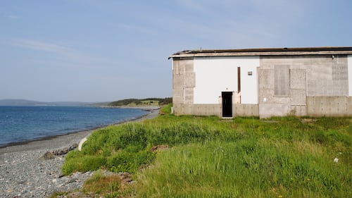 Hope in Newfoundland town as government seeks removal of rotting, stinking fish sauce