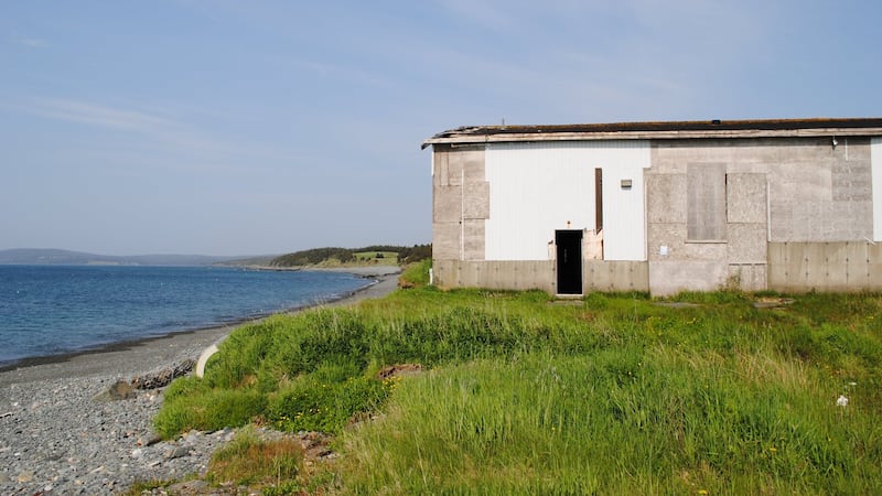 Hope in Newfoundland town as government seeks removal of rotting, stinking fish sauce