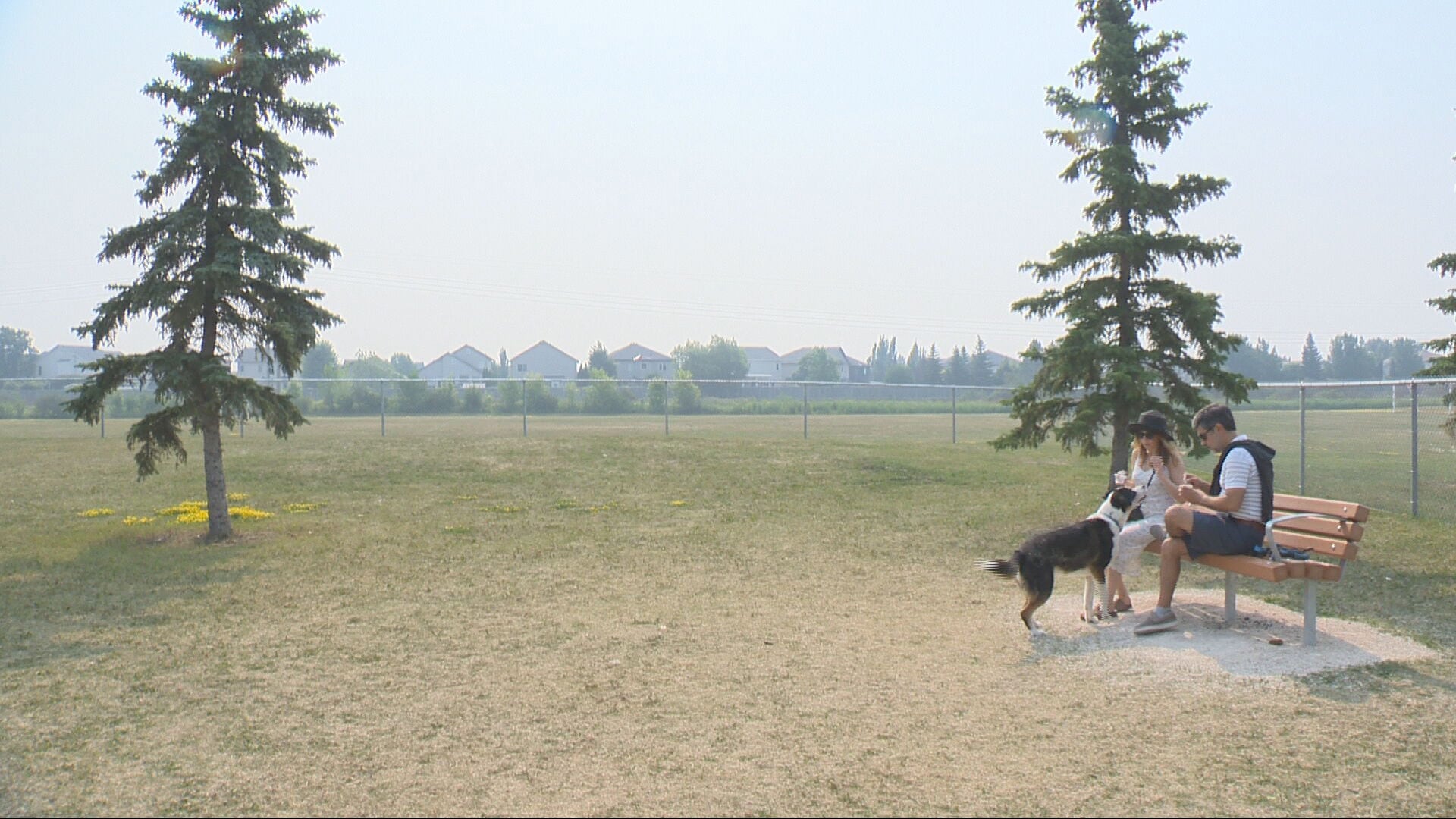 Whyte Ridge Park Winnipeg’s Whyte Ridge welcomes new off-leash dog park