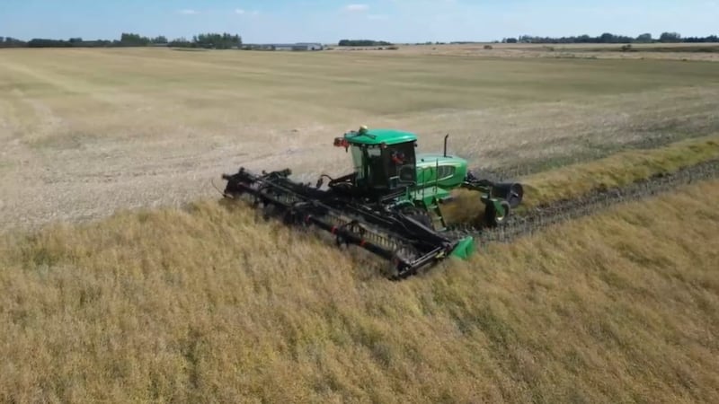 Dry conditions lead to 18% harvest completion across Sask.