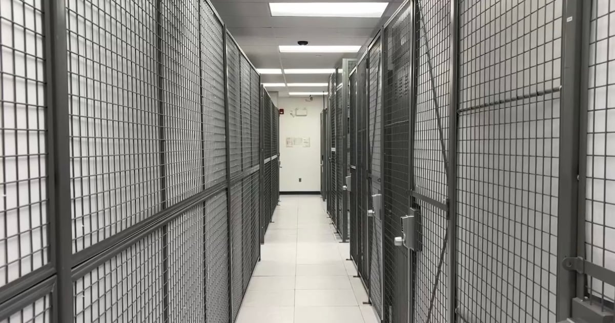 Experts say Canadian solutions needed to maintain data sovereignty