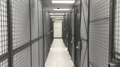Experts say Canadian solutions needed to maintain data sovereignty