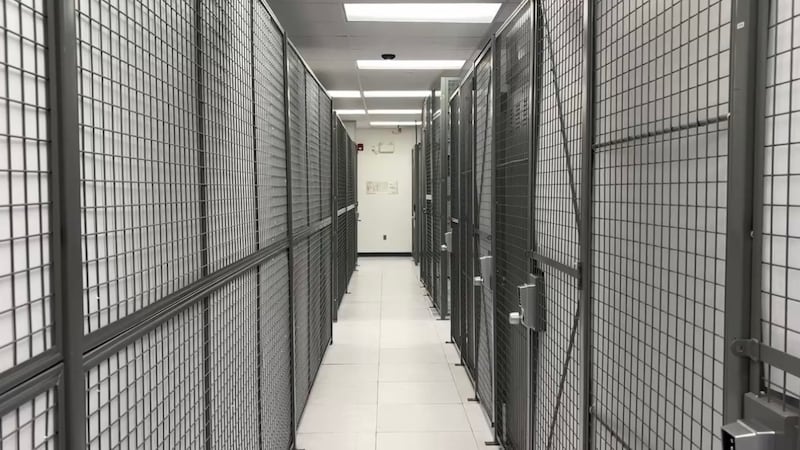 Experts say Canadian solutions needed to maintain data sovereignty