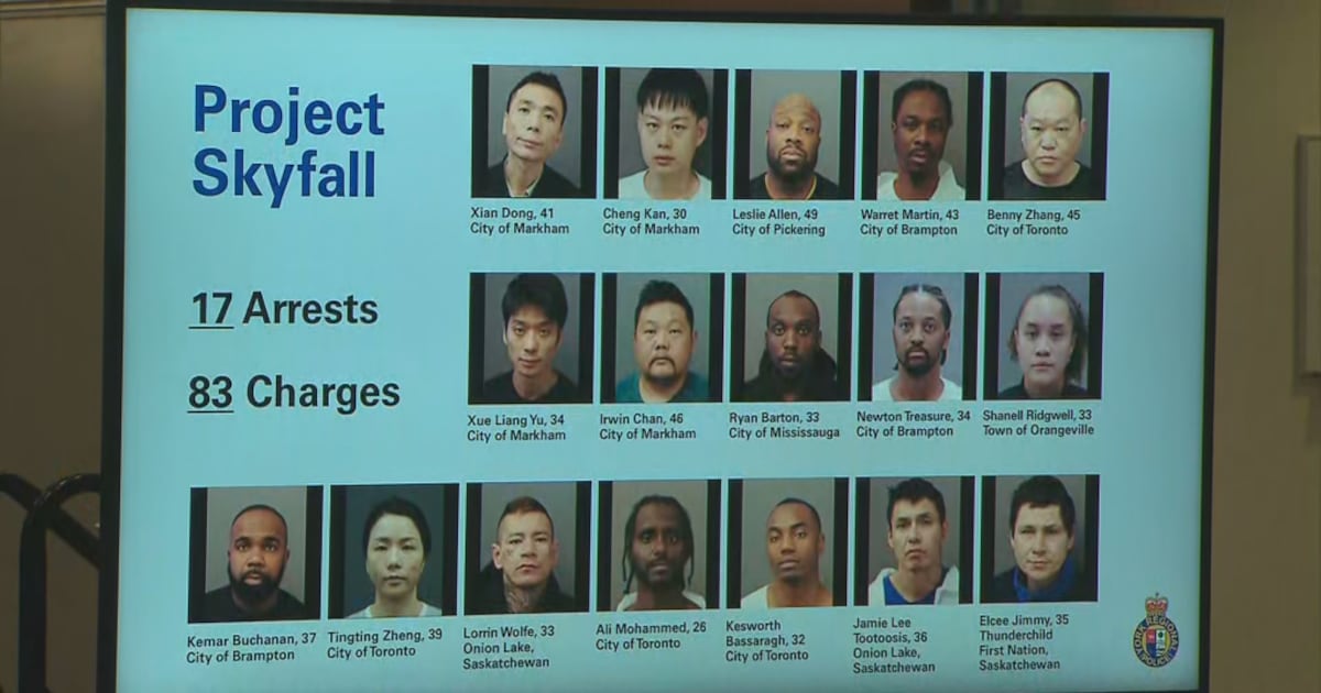 Mugshot Project 'Project Skyfall': Police north of Toronto arrest 17 suspects allegedly ...