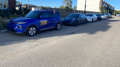 These Canadian seniors are driving EVs to Parliament Hill. Here’s why