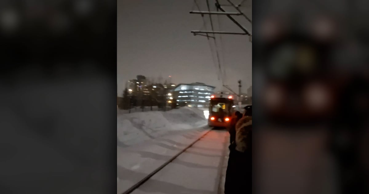 OC Transpo users describe experience on stalled train