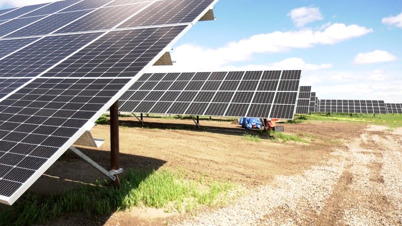 From Sun to Sockets: City turns on Dundonald Avenue Solar Farm