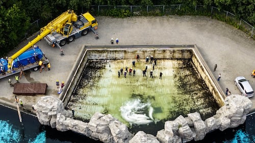 Fourth Marineland whale dies after relocation, third at Shedd Aquarium in Chicago