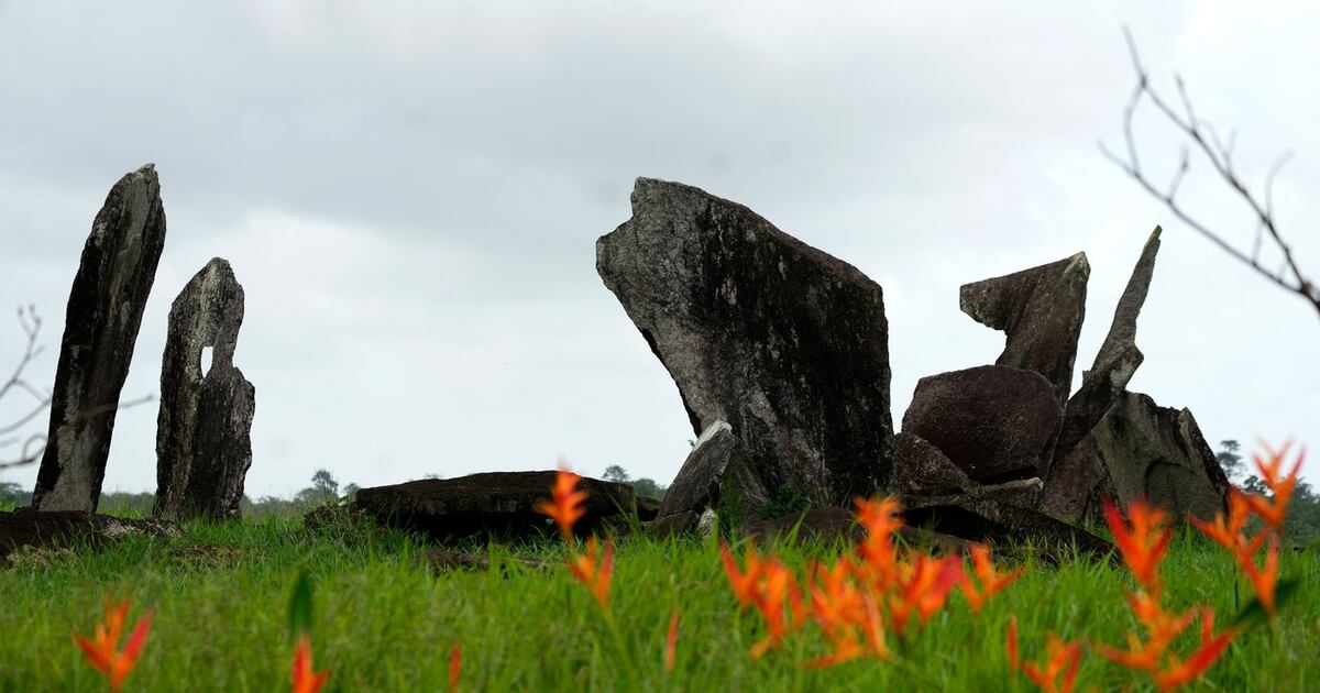 Archeological digs in Amazon provide clues about Indigenous inhabitants ...