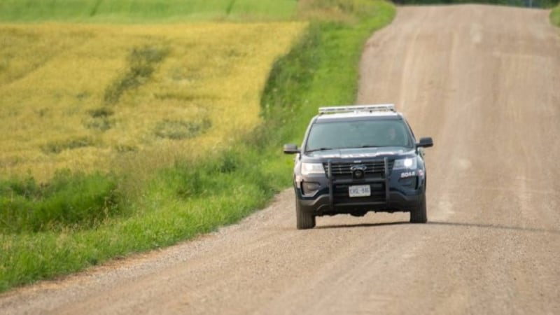 Six injured, including two children, in serious Wellesley Township crash