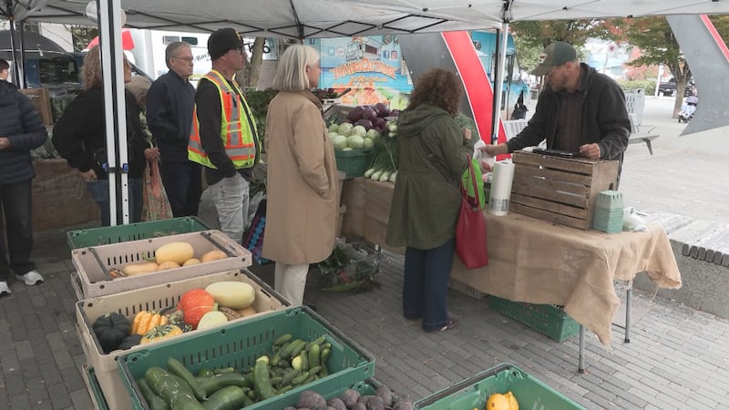 Busy farmers markets mask growing financial pressures facing B.C. farms, report warns