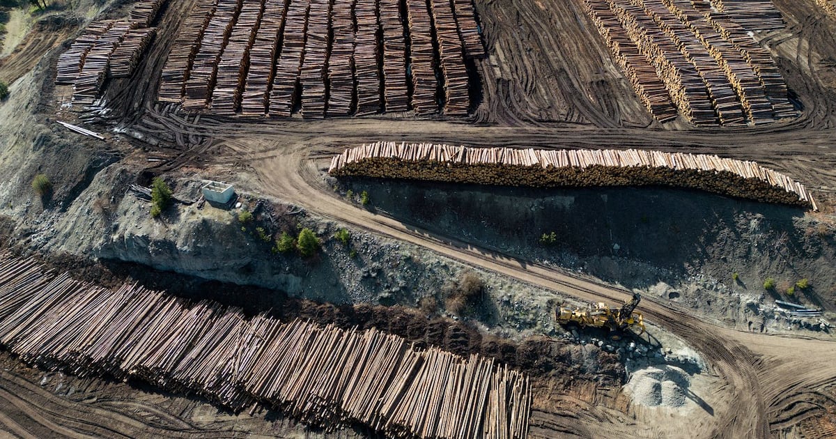 U.S. sets tax total for Canadian softwood lumber exports at almost 35 per ...