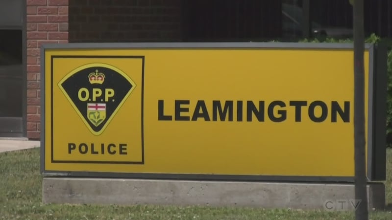 Leamington traffic stop leads to impaired driving offences