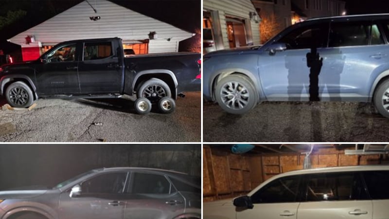 Stolen vehicles worth $235K and ammunition recovered: OPP