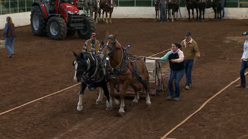 Two horses pull a carriage.