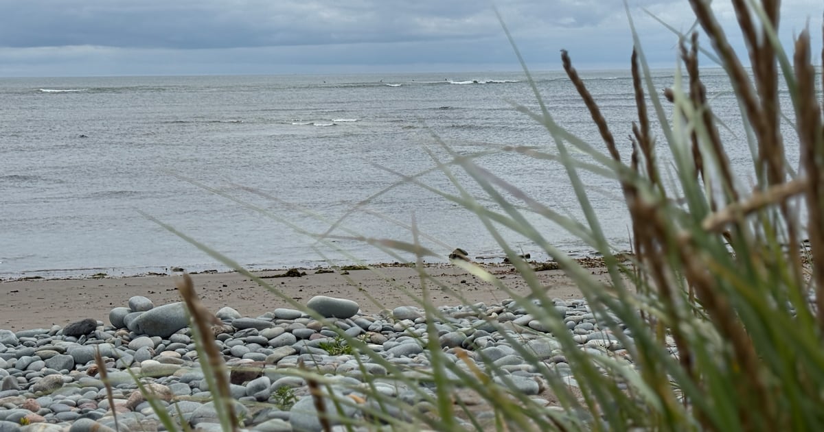 Swimming Advisories Lifted at Lawrencetown and Rainbow Haven Beaches in Nova Scotia