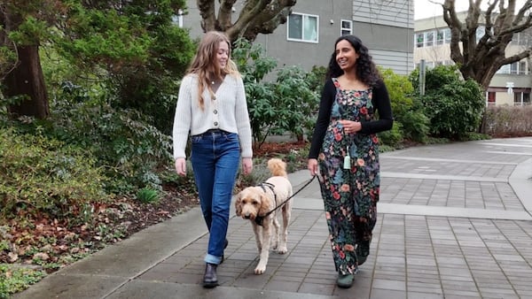 Free pet care for those in addictions treatment provided by new Vancouver Island organization