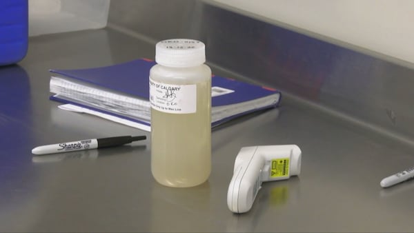Wastewater data suggests COVID-19 will return to Calgary this respiratory virus season