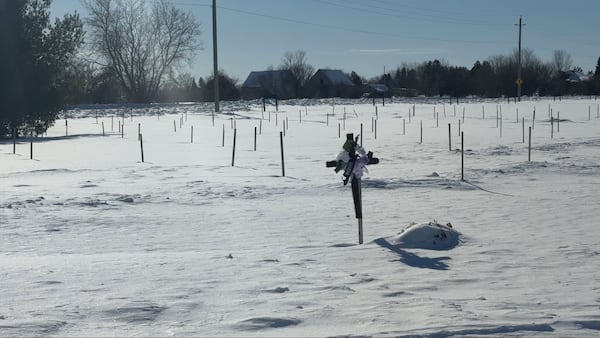 Ottawa cemetery calls for assistance as rising number of bodies go unclaimed in Ontario
