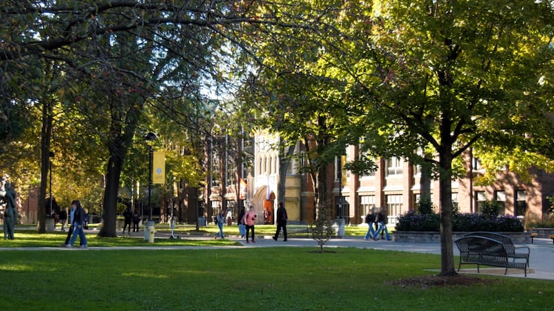 UWindsor researcher says Cornell case underscores need for better response to sexual violence disclosures