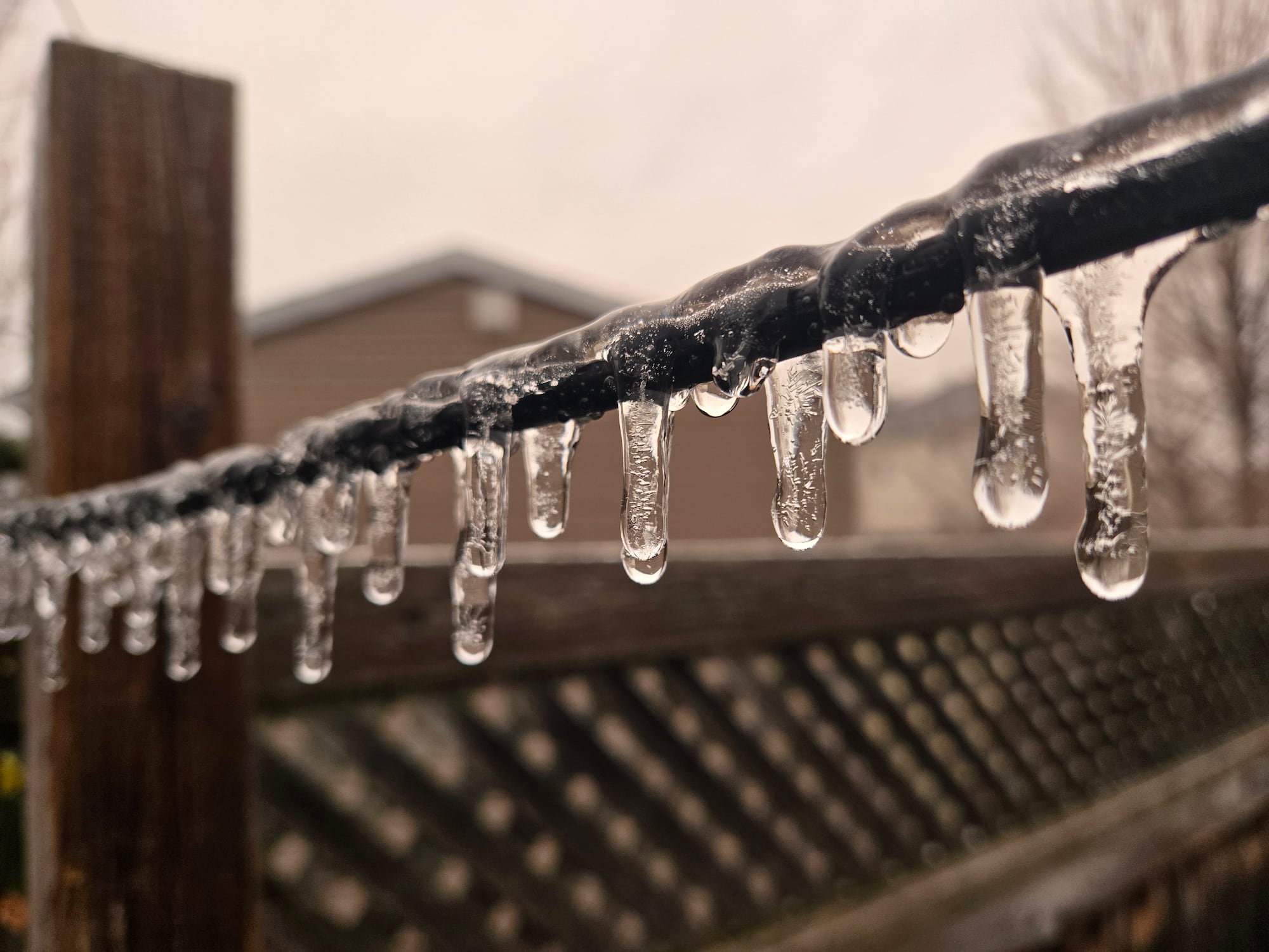 IN PHOTOS: Freezing rain in Ottawa – CTVNews