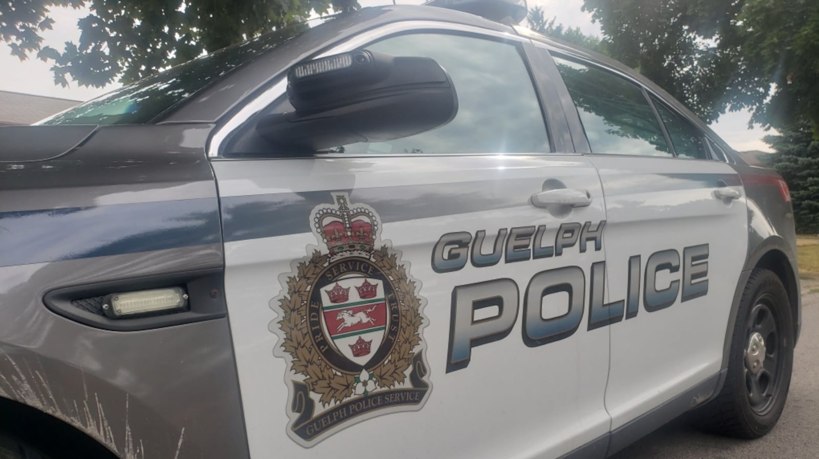 Fake Window Paper Guelph brothers arrested after alleged fake lawyer claim