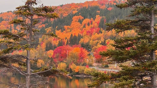 Cape Breton prepares to celebrate the fall colours